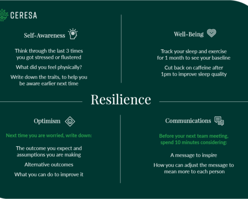Building Resilience: Key Traits of Successful Leaders